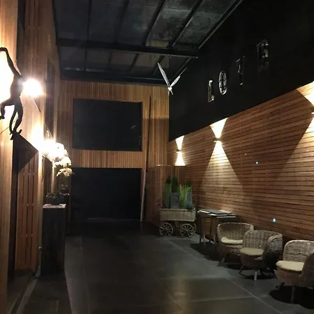 Lejlighedshotel Victoria's House Lille